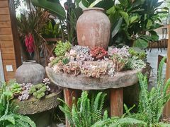 -随便·稻香鸭私房手作餐厅