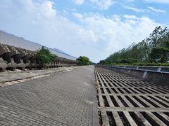 -上海滨江森林公园
