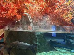 -成都浩海立方海洋公园