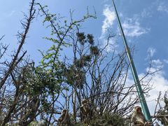 -重庆云阳龙缸景区