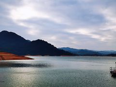 -广州市流溪河国家森林公园