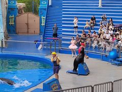 -华夏文旅海洋公园