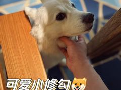 -半坡九号老挝冰咖啡