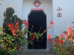 -巢湖姥山岛
