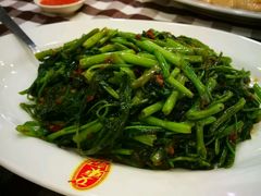 -文东记(马里士他路)