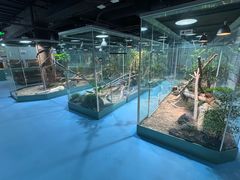 -上海大自然野生昆虫馆(东方明珠·爬宠昆虫探索中心)