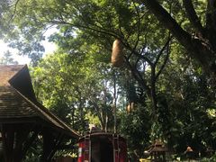 -四季酒店下午茶