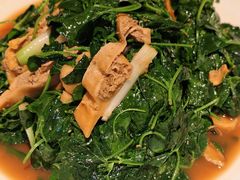蚌肉金花菜-洋洋中餐馆·SINCE 1997(信投店)