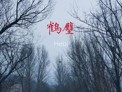 -淇河国家湿地公园