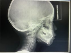 -睿宝儿科·眼科·口腔(静安大悦城门诊部)