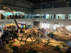 -自贡恐龙博物馆
