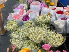 -循礼门鲜花花市(武汉循礼门店)