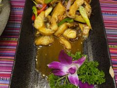 云南七彩鱼-香巴拉云南餐厅(华莱坞店)