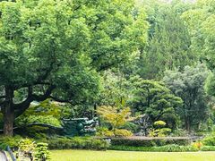 -申粤轩酒楼·三十年粤菜经典(丁香花园店)