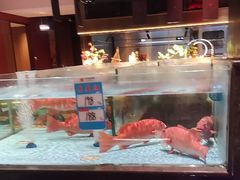 -阿伟海鲜楼·福建菜(延寿店)