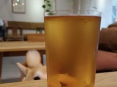 -柴务处·柴犬主题狗咖