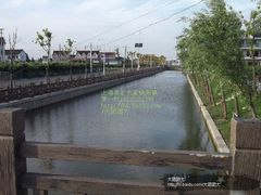 -南汇水蜜桃采摘(大团店)