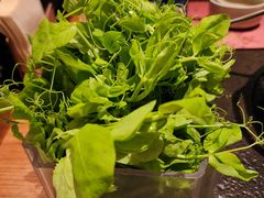 乐山空运豌豆尖-盡膳口福跷脚牛肉火锅(晶耀前滩店)