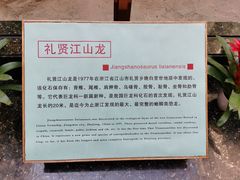 -衢州市博物馆