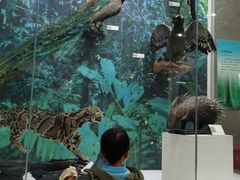 -国家自然博物馆