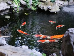 -鲤院·新中式美学·庭院餐厅(夫子庙店)