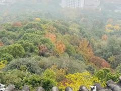 -杭州半山国家森林公园