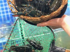 -星记小馆·小蓝龙·老南京砂锅菜(上海路店)