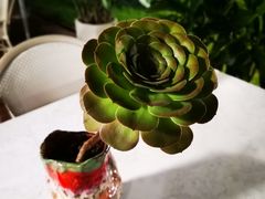 -素心小筑(后沙裕镇店)