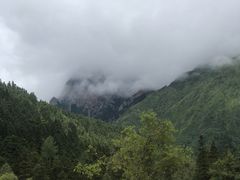 -黄龙山原始森林景区