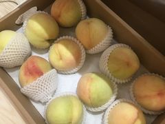 -南汇新场正宗水蜜桃采摘