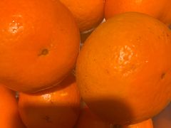 -醉得意·山茶油炒土鸡(莆田仙游方圆荟店)