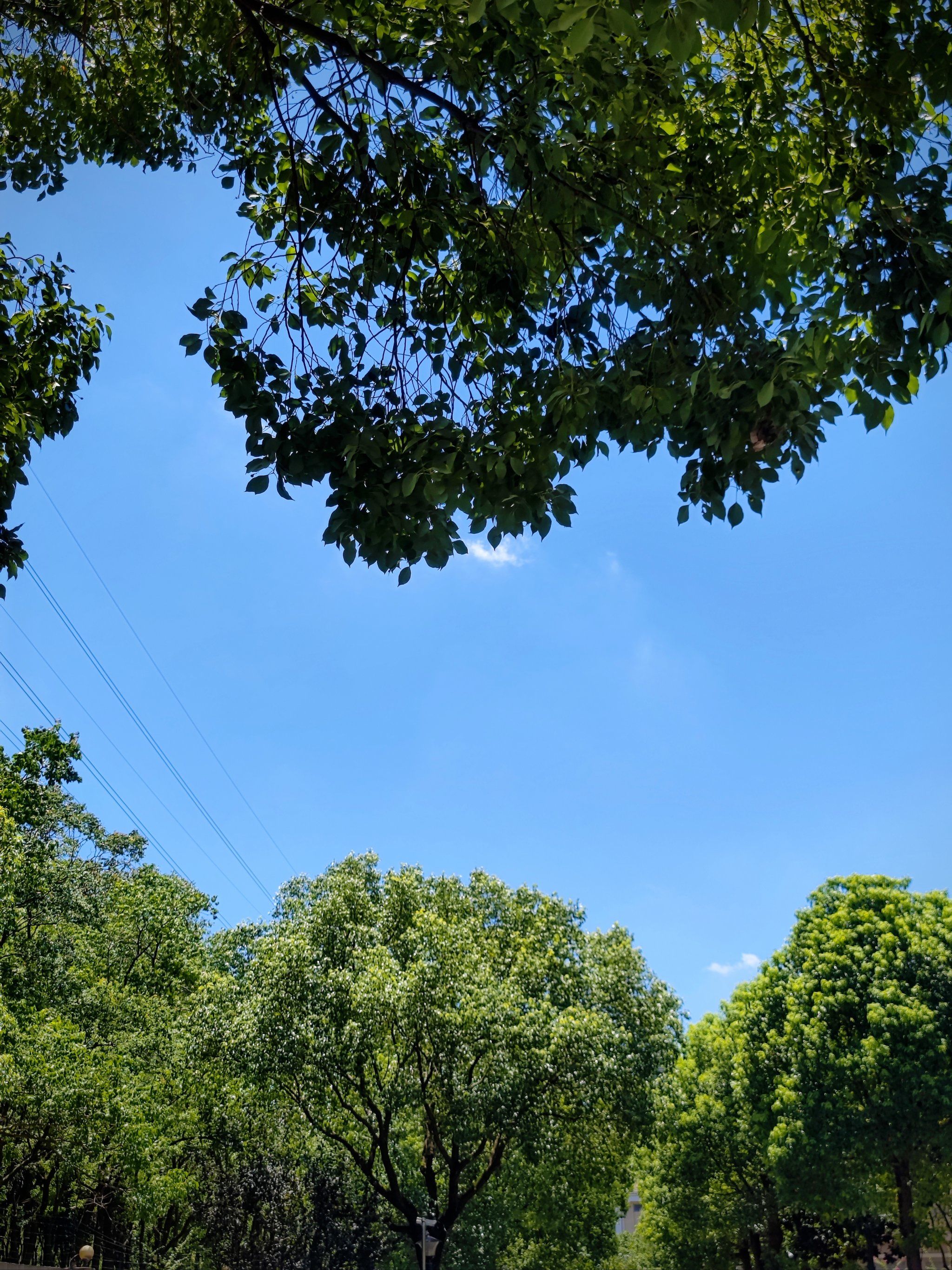 是水晶蓝的天空