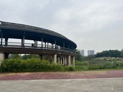-眉山湿地公园(东坡区)