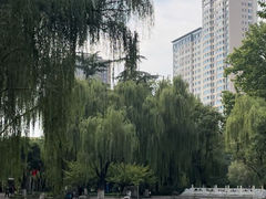 -西安市长乐公园