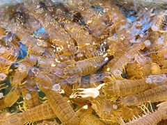 -阿马蛋汤·宁波小海鲜(总店)