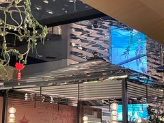 -桂满陇·海市蜃楼·黑金(国金店)