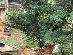 -昆明动物园