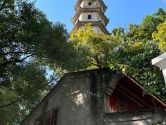 -江心屿景区