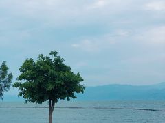 -磻溪渡口
