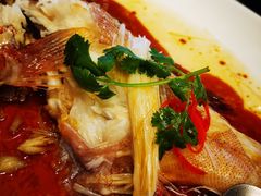 清蒸东星斑-杭州JW万豪酒店-万豪中餐厅