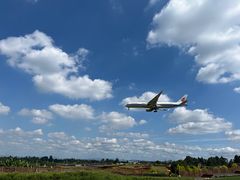 -空港花田景区