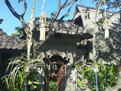 -DiAtas by Art Cafe Bumbu Bali