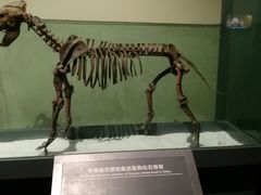 -大庆市博物馆