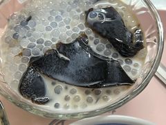 -五福堂龟苓膏(河东北山店)