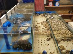 -海小馆海鲜餐厅(茂业百货店)