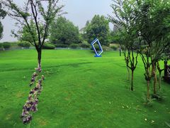 -铁山坪森林公园