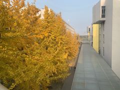 -四川大学(江安校区)