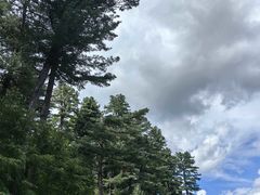 -五营红松林海景区