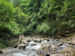 -西岭雪山大飞水景区