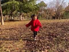 -白塘生态植物园